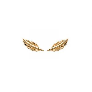 Boucles d'oreilles plume